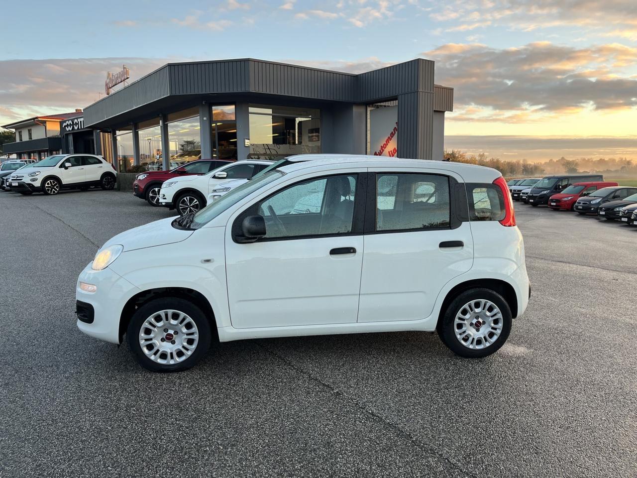 FIAT PANDA EASY 1200 CC 69 CV