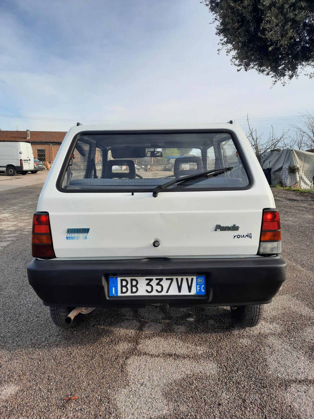 Fiat Panda 900 i.e. cat Young