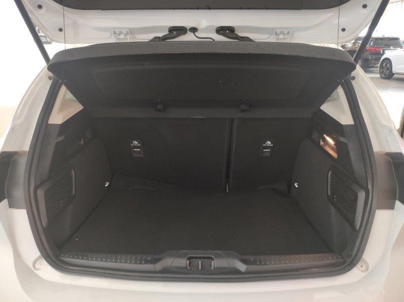 FORD Focus (AUTOCARRO) 1.5 EcoBlue 95 CV 5p. Business