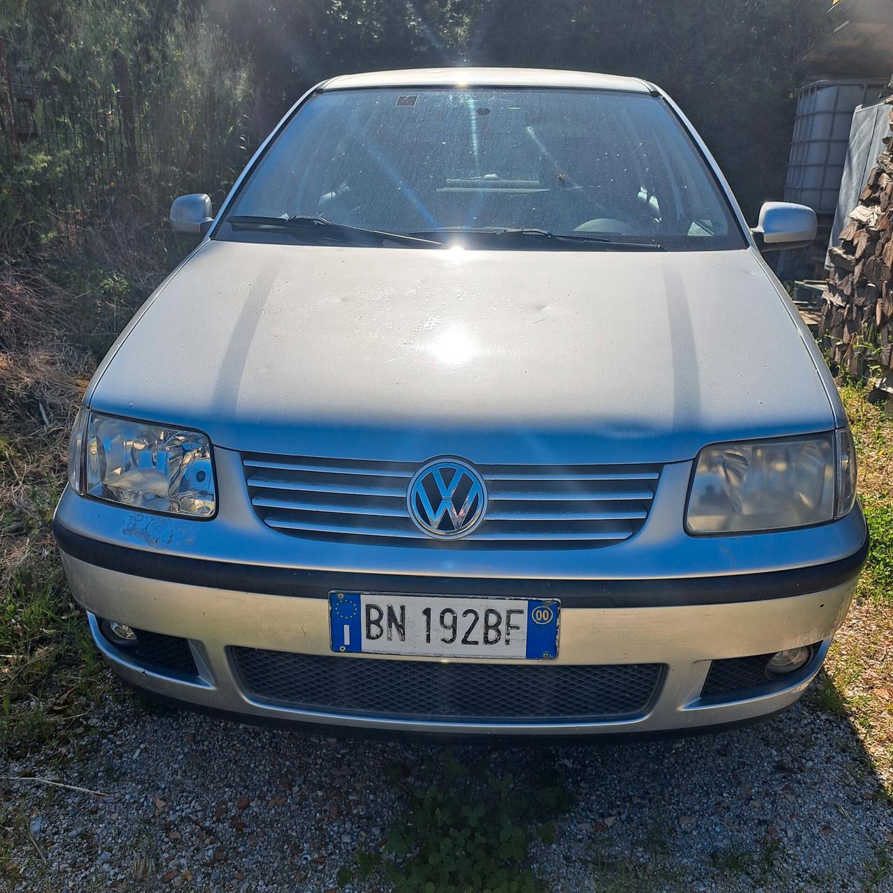 Volkswagen Polo 1.4 TDI cat 5 porte Comfortline