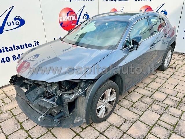 Lexus UX 250 Hybrid Business ECVT NETTO 14500