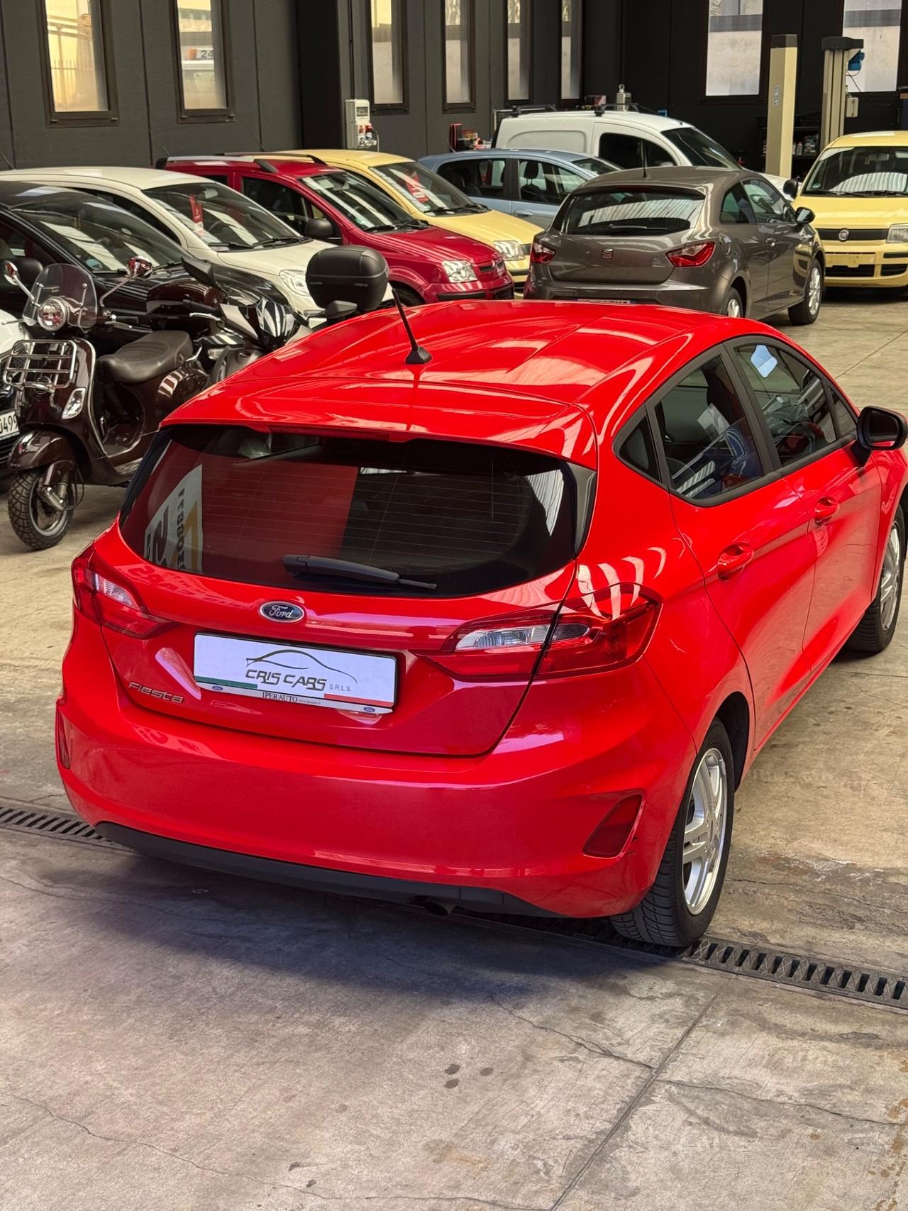 Ford Fiesta 1.5 EcoBlue 5 porte Plus