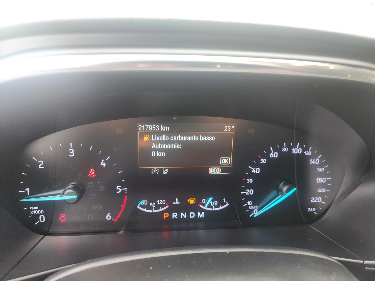 Ford Focus 2.0 EcoBlue 120 CV automatico SW ST-Line Co-Pilot - 2020