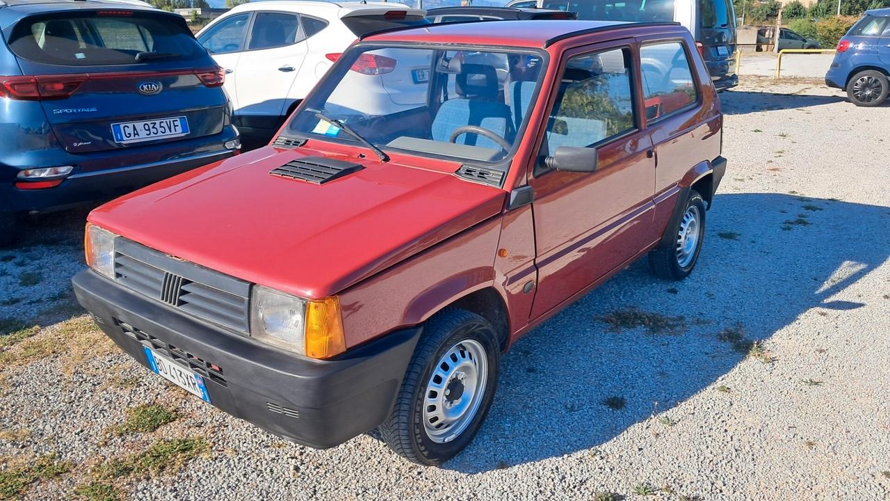 Fiat Panda 900 i.e. cat Young