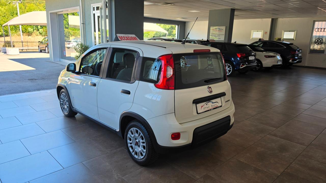 Fiat Panda Hybrid Firefly 69cv