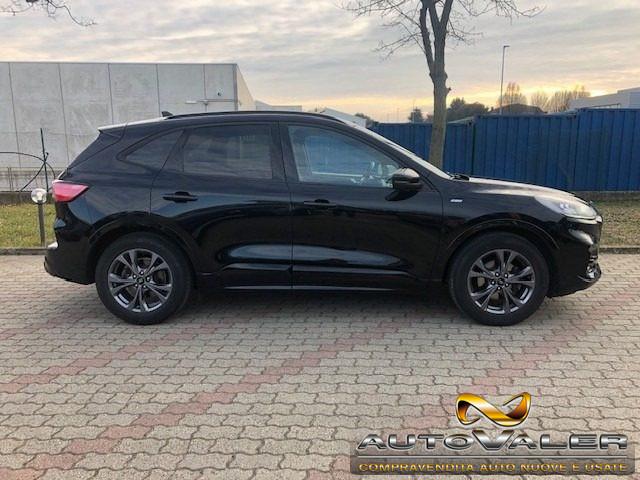 FORD Kuga 1.5 EcoBlue 120 CV Cambio aut. ST-Line