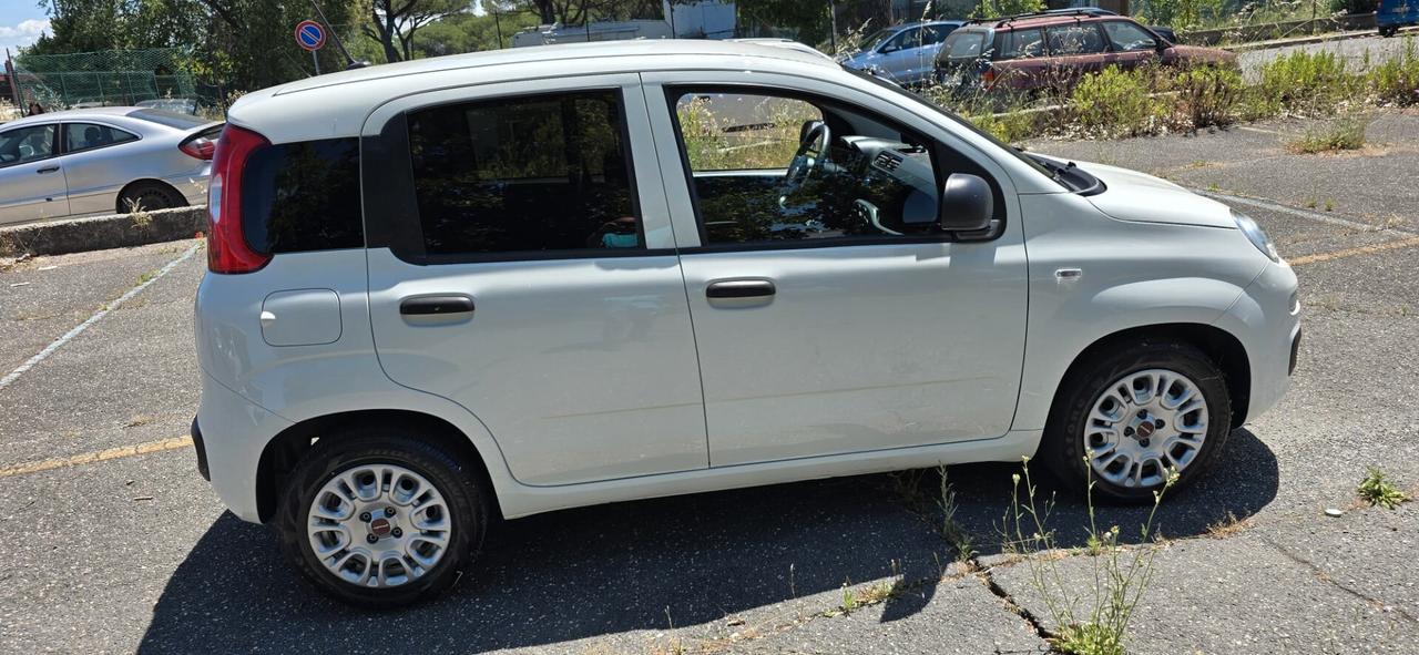 Fiat Panda 1.0 FireFly S&S Hybrid Van unipro garanzia permute