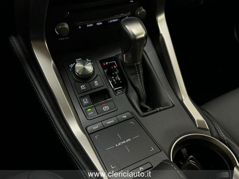 Lexus NX 300 Hybrid 4WD Luxury (TETTO PAN.)