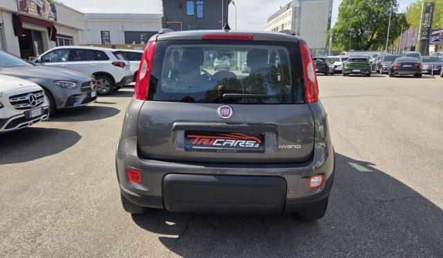 FIAT Panda 1.0 FireFly S&S Hybrid City Life PERMUTE OK NEOPAT