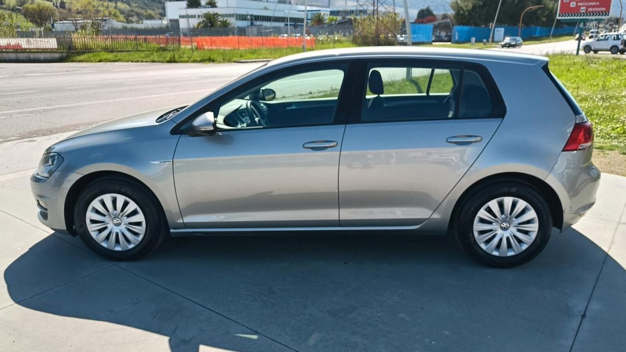 Volkswagen Golf Business 1.4 TGI 5p. Trendline BlueMotion