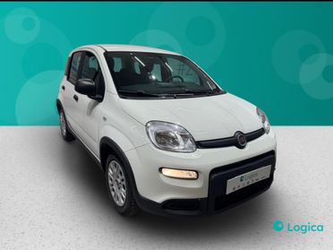 FIAT Panda III 2021 - Panda 1.0 firefly hybrid Sport s&s 70cv 5p.ti