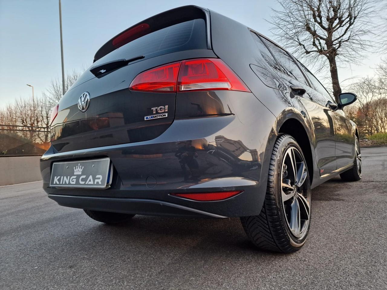 Volkswagen Golf 1.4 TGI 5p. Trendline BlueMotion