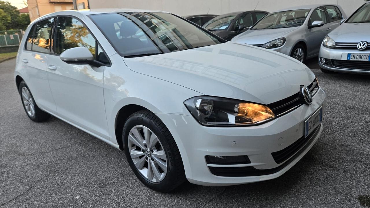 Volkswagen Golf Business 1.6 BlueTDI 110 CV 5p. Highline