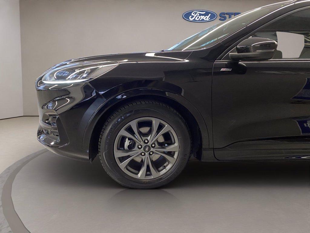FORD Kuga 2.0 ecoblue ST-Line 2wd 120cv auto del 2024