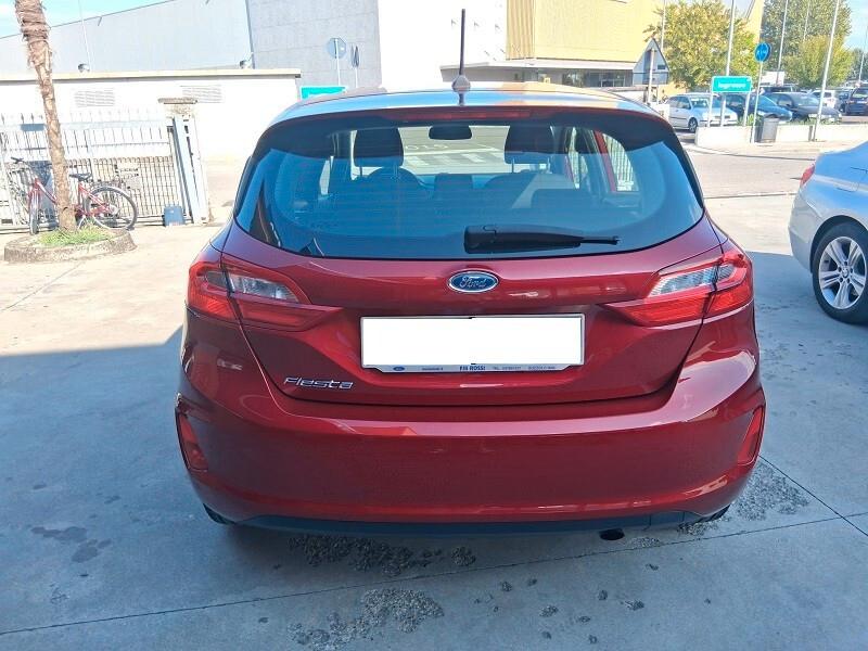 Ford Fiesta 1.5 EcoBlue 5 porte Business (684)