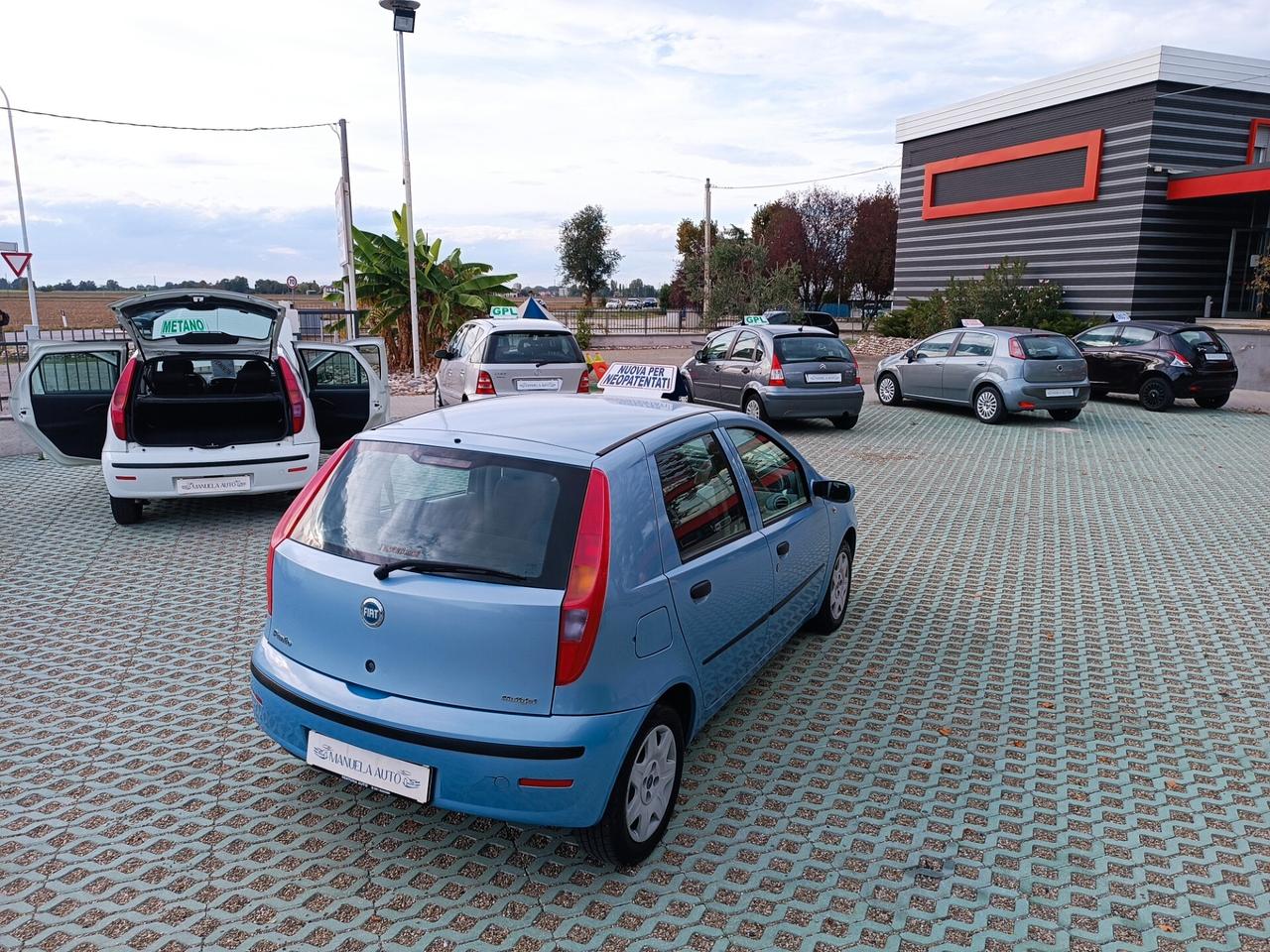Fiat Punto 1.3 Multijet 16V 5 porte Active