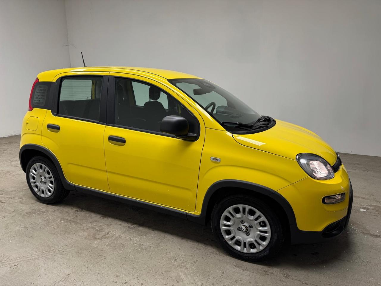 FIAT Panda III 2024 - Panda 1.0 firefly hybrid s&s 70cv