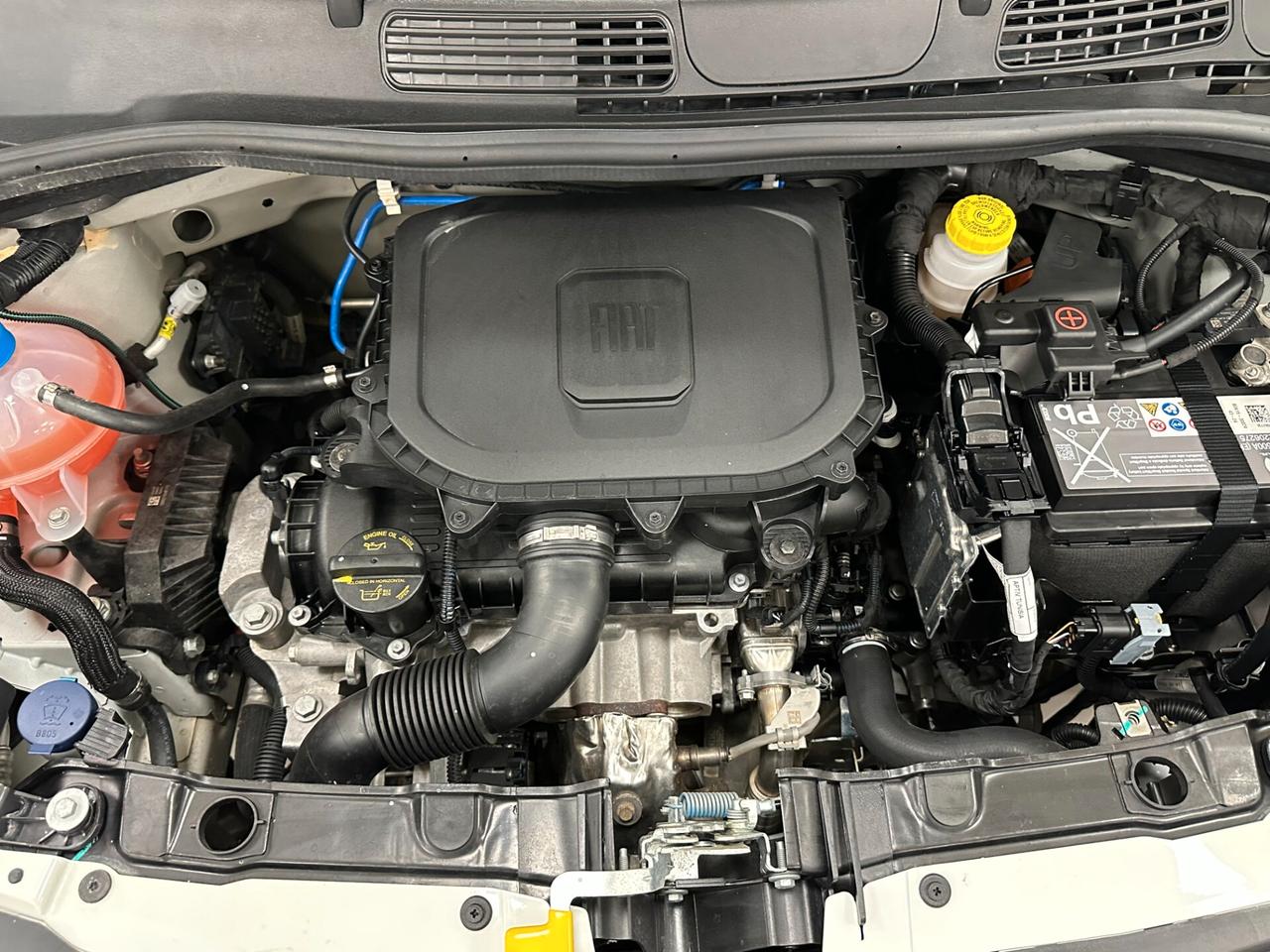 Fiat Panda 1.0 FireFly S&S Hybrid Pandina 70 CV - 2025