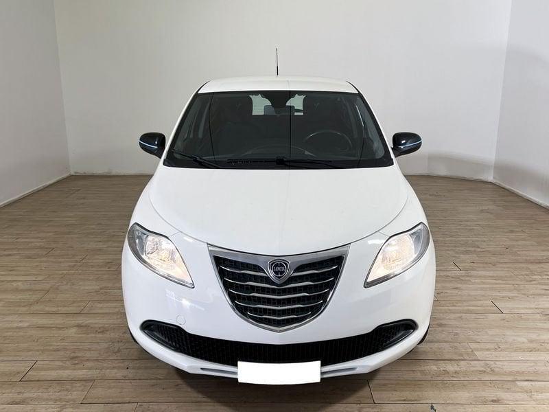 Lancia Ypsilon Ypsilon 1.2 69 CV 5 porte Elefantino