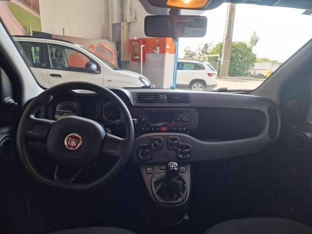 Fiat Panda Panda 1.2 Lounge easypower Gpl 69cv my19