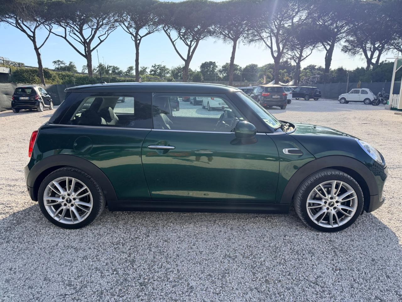 Mini 1.5 One D