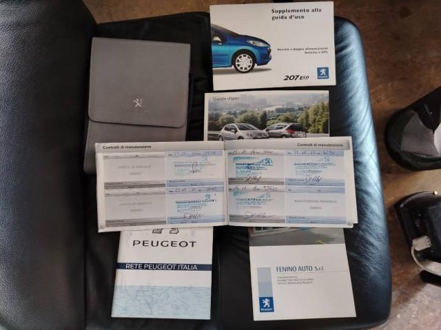 Peugeot 207 Station Wagon 207 SW 1.4 8v Energie eco-Gpl 75cv