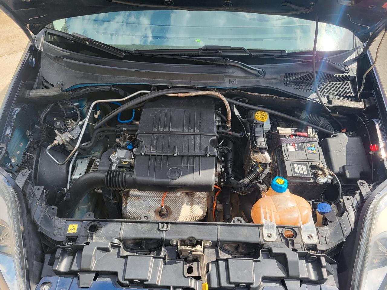 Fiat Punto 1.4 8V 3 porte Natural Power Young