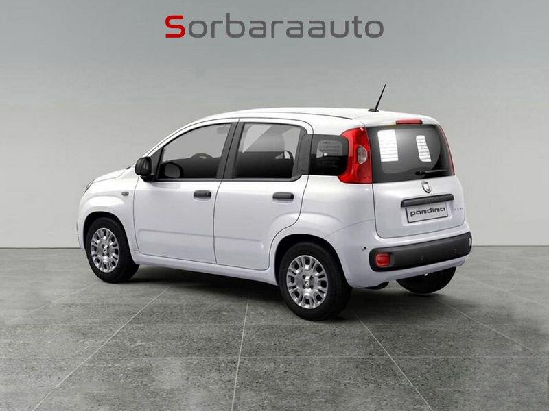 FIAT Pandina Pandina 1.0 firefly hybrid Pop s&s 65cv con CNJ-Badge (red) su montante laterale