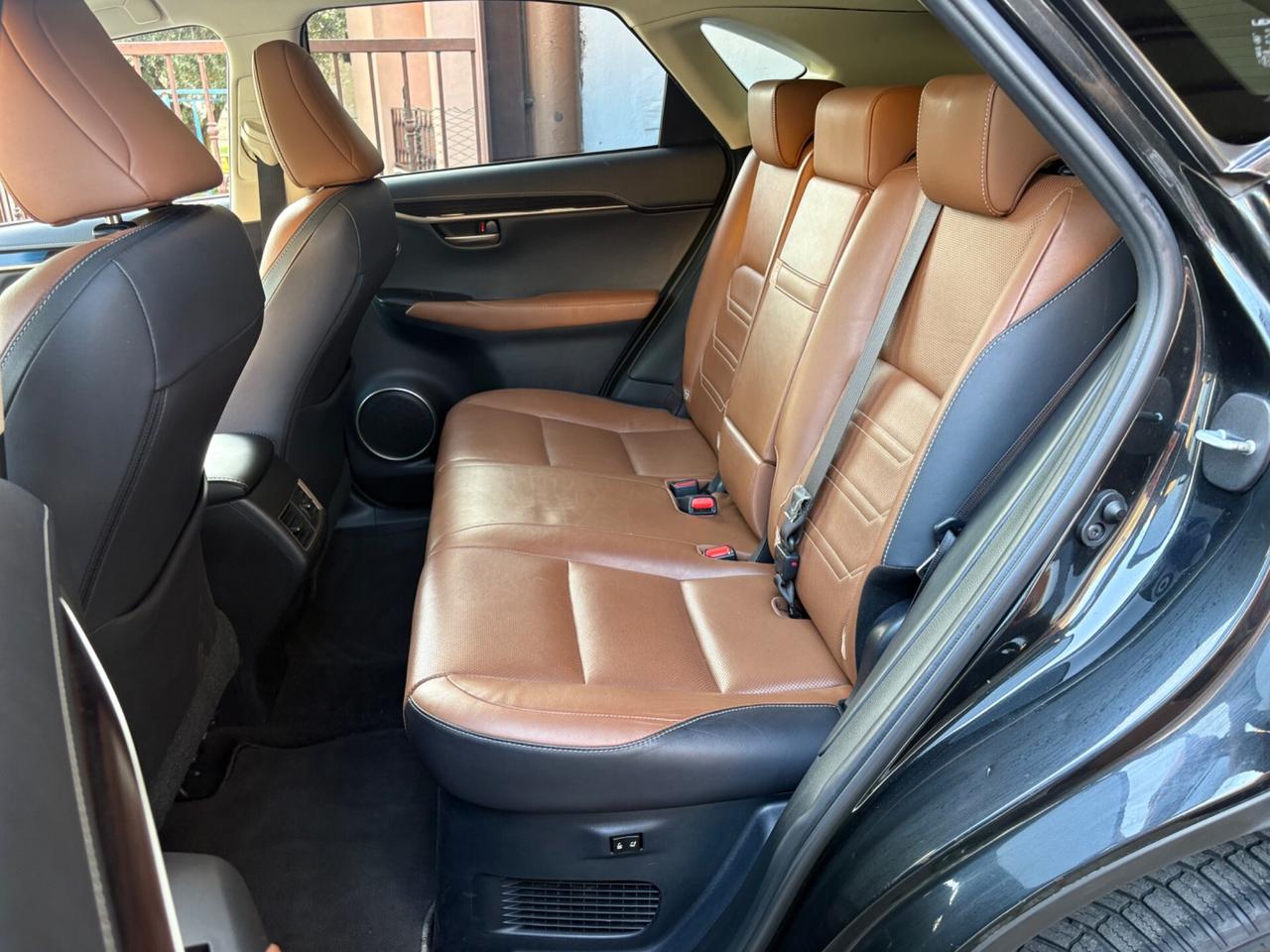 Lexus NX 300h Hybrid 4WD Luxury FULL OPTIONAL