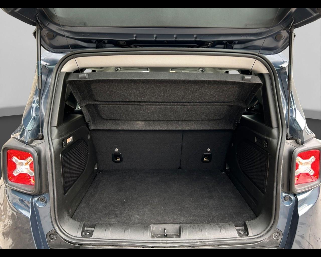 JEEP Renegade 2019 - Renegade 1.6 mjt Limited 2wd 130cv