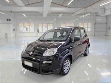 Fiat Panda 1.0 FireFly S&S Hybrid 5P PACK CITY PROMO
