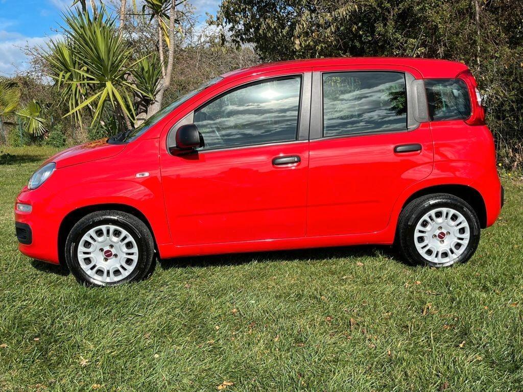 Fiat Panda 1.2 Easy Neopatentati