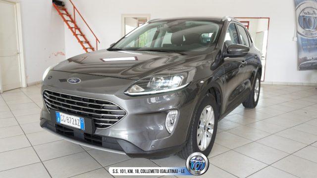 FORD Kuga 1.5 EcoBlue 120 CV aut. 2WD Titanium Business