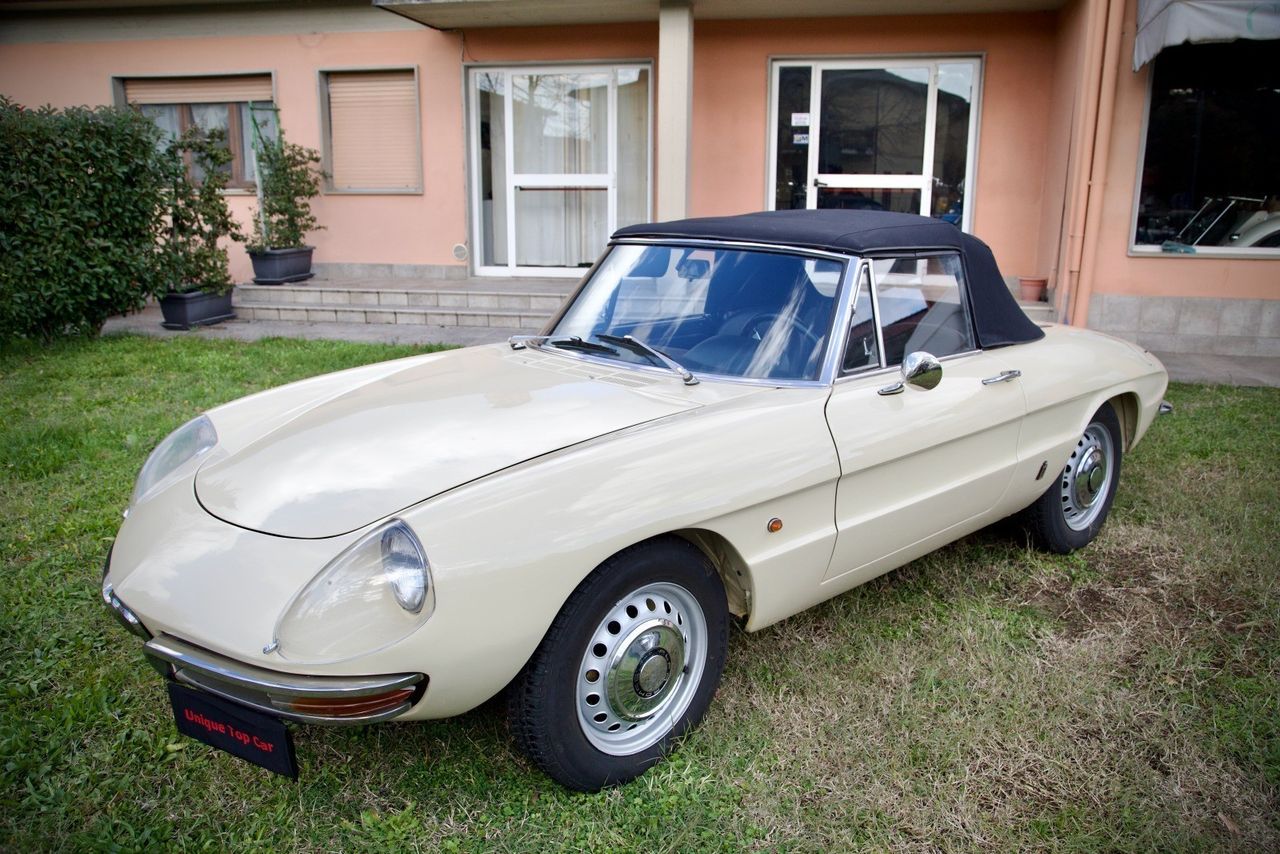 Alfa Romeo Duetto Osso di seppia