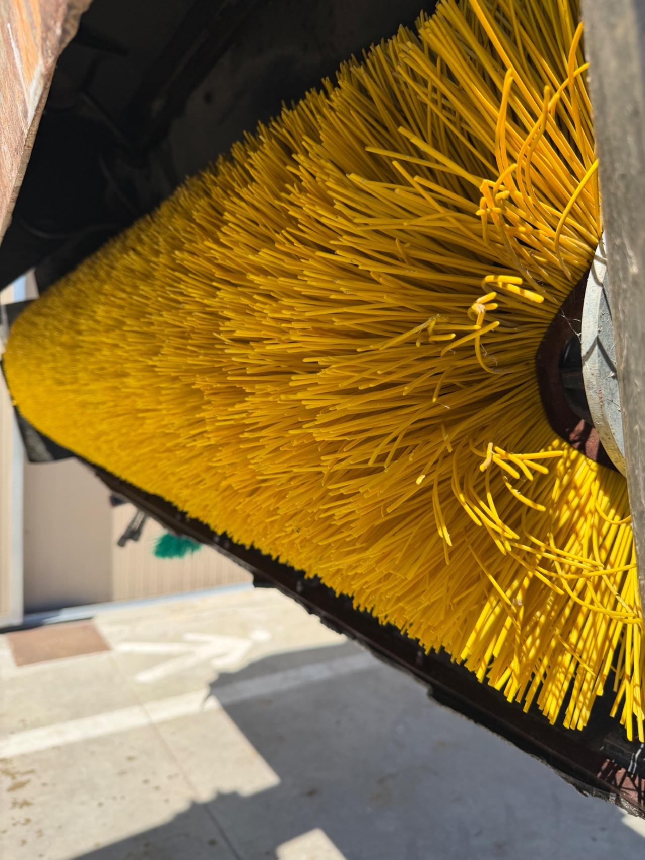 Benna spazzatrice attacco merlo