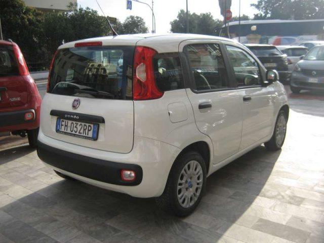 FIAT New Panda 1.2 PANDAZZURRI GPL