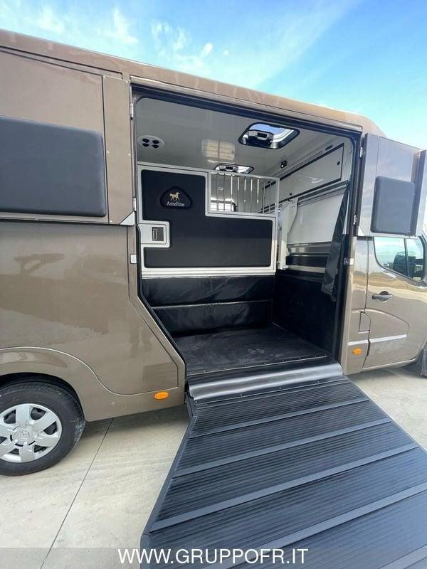 Renault Master AMELINE dCi 165 CV 3 POSTI HARAS