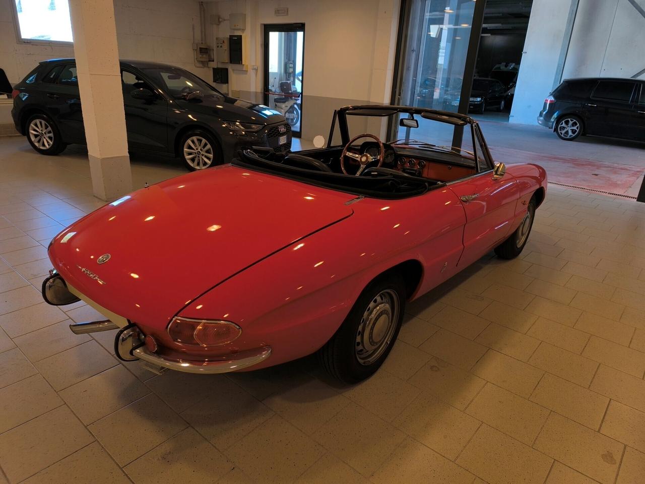 Alfa Romeo Spider