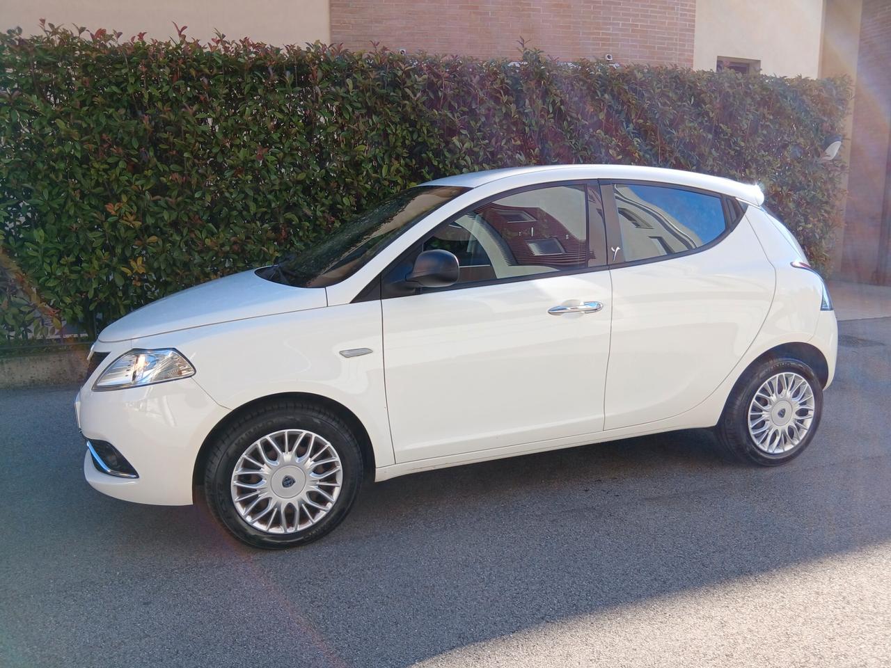 Lancia Ypsilon 1.2 69 CV 5 porte Silver tua a € 185 mese