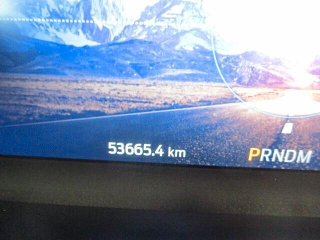 Ford Kuga 1.5 EcoBlue 120 CV aut. 2WD ST-Line