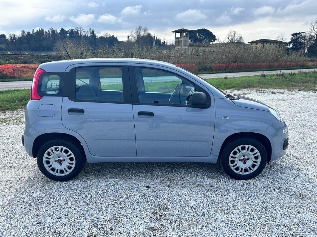 FIAT Panda III 2016 - Panda 1.2 Easy s&s 69cv my19