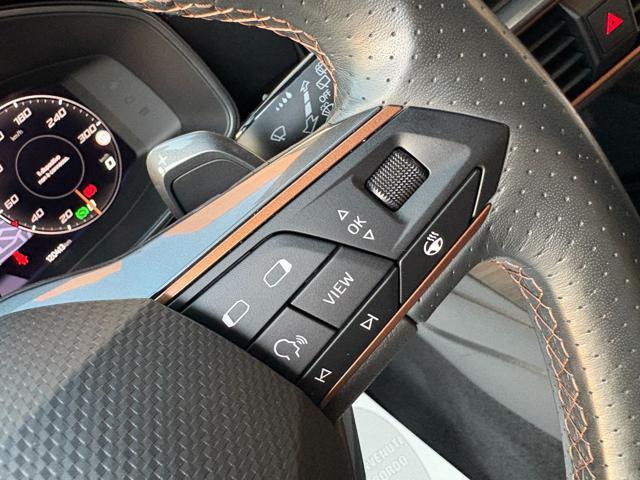 CUPRA Formentor 2.0 TDI 150 CV 4Drive DSG