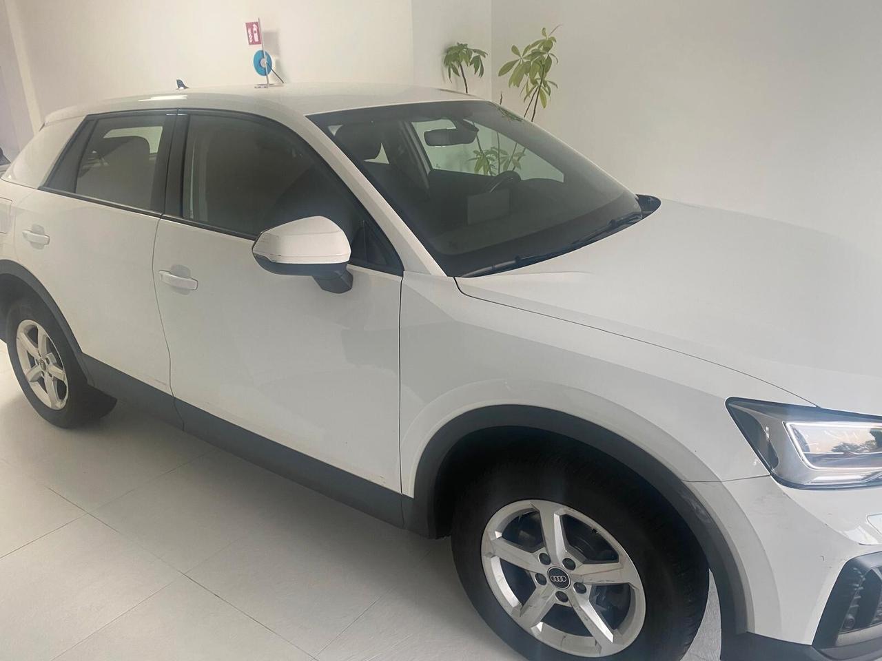 Audi Q2 35 TDI quattro S tronic Business Plus