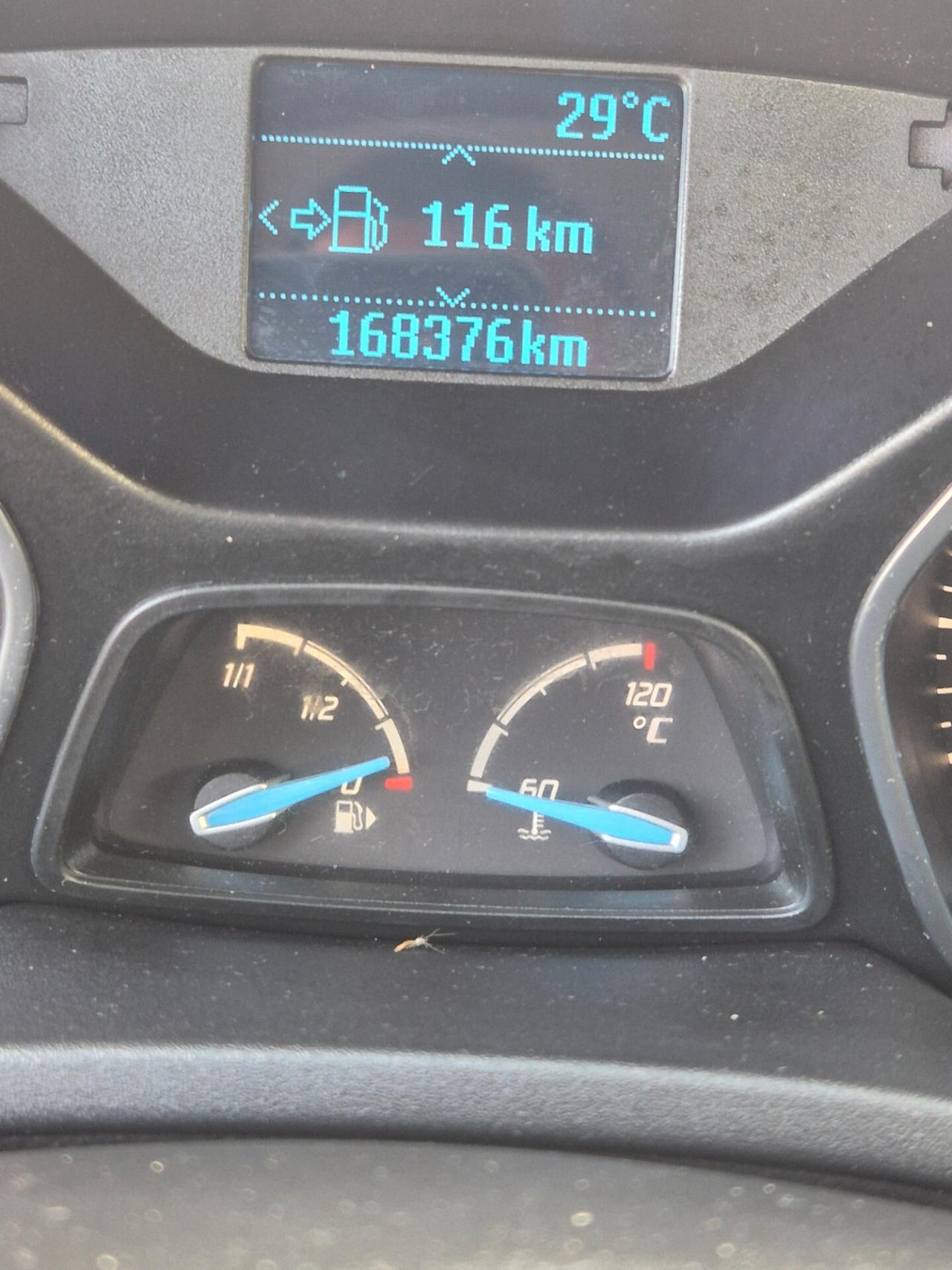 Ford Focus 1.6 TDCi 95 CV SW Titanium neopatentati
