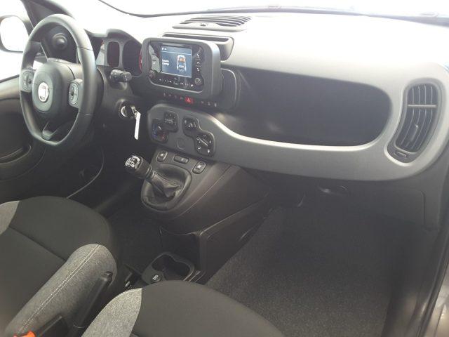 FIAT Panda 1.0 FireFly 70cv Hybrid *solo 19.700 Km*