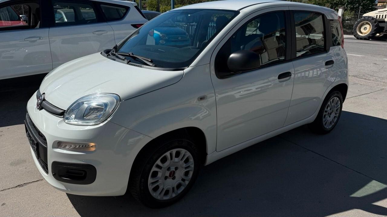Fiat Panda 1.2 Easy