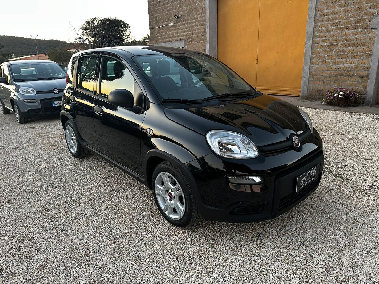 Fiat Panda 1.0 FireFly S&S Hybrid PREZZO REALE