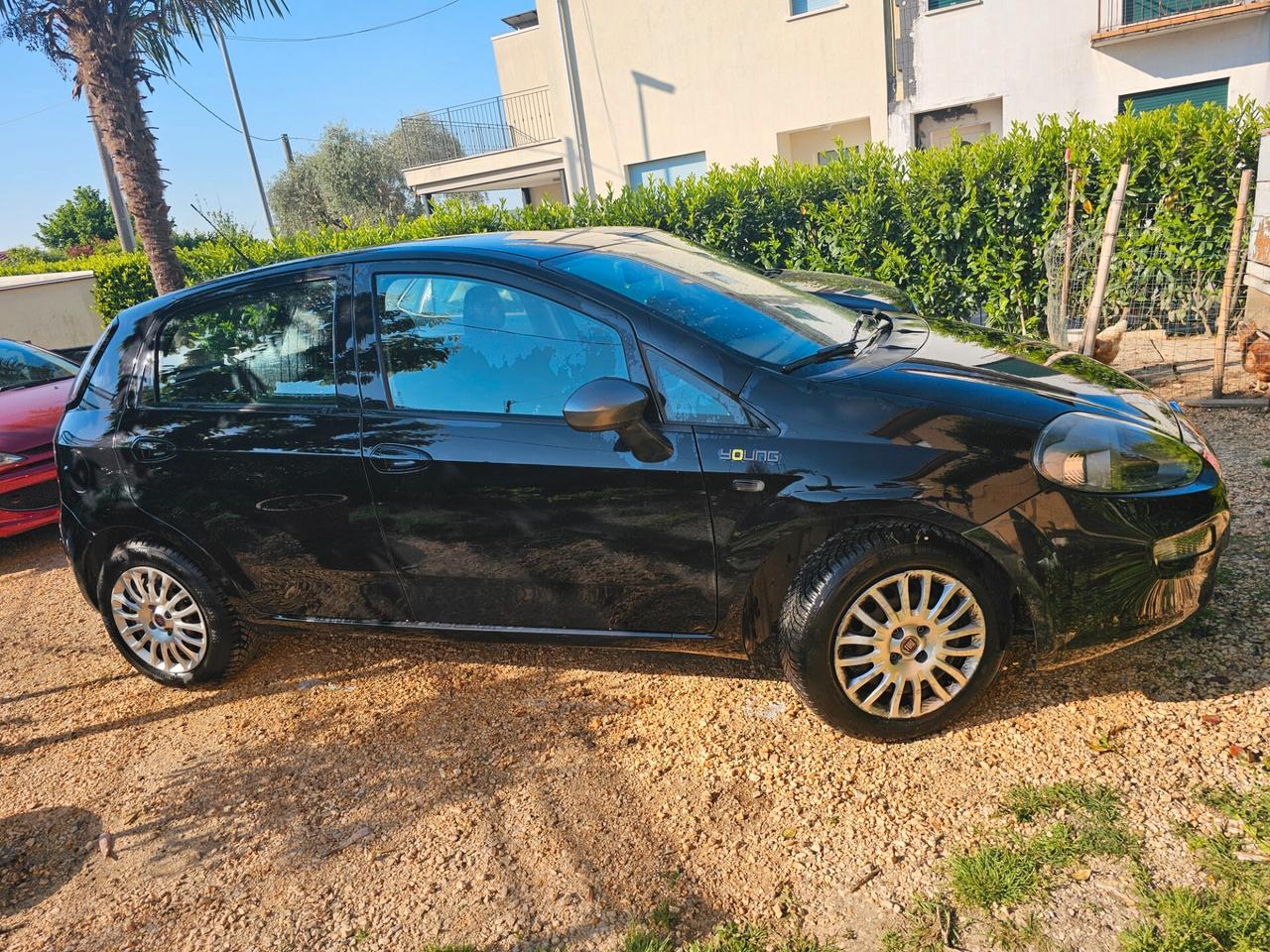 Fiat Punto 1.3 MJT II 75 CV 5 porte Lounge