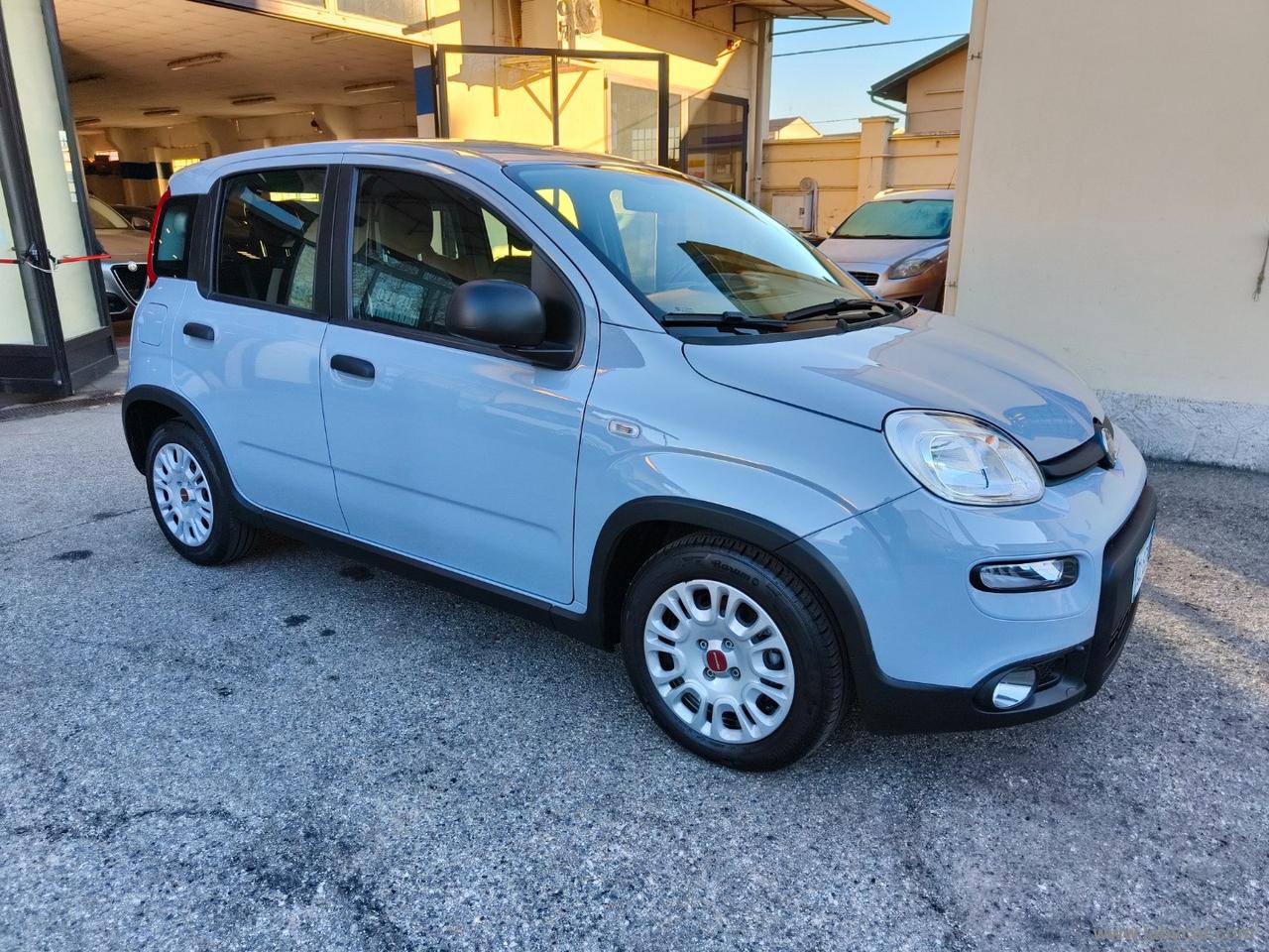 FIAT Panda 1.0 FireFly S&S Hybrid NO VINCOLI