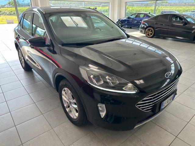 FORD Kuga 1.5 EcoBlue 120 CV aut. 2WD Titanium Business